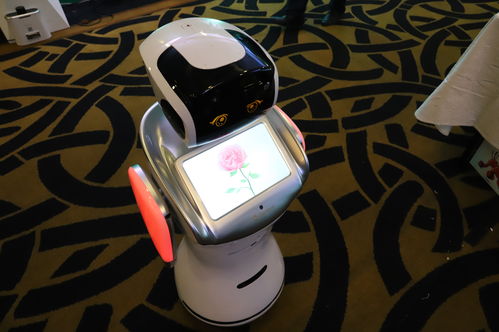 順應(yīng)時(shí)代，點(diǎn)燃?jí)粝?騰瑪人工智能新品發(fā)布會(huì)暨開(kāi)業(yè)盛典